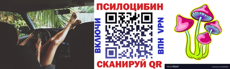 купить наркотики сайты  ОМГ ОМГ ССЫЛКА  Галлюциногенные грибы MAGIC MUSHROOMS  Ядрин 